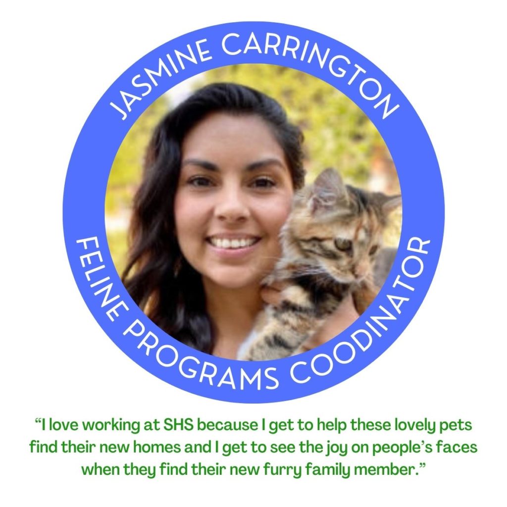 Siskiyou Humane Society | Mt. Shasta, CA